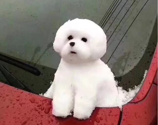 QQ图片20180128123518.png