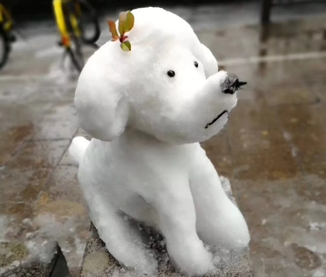 QQ图片20180128123551.png
