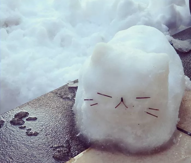QQ图片20180128125946.png