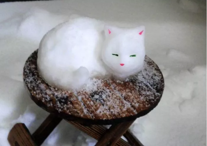 QQ图片20180128130014.png