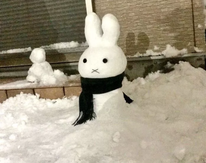 QQ图片20180128130043.png