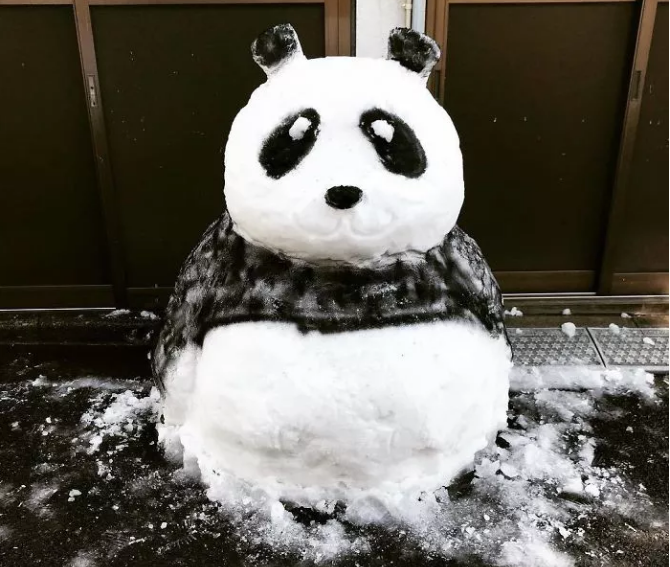 QQ图片20180128131152.png