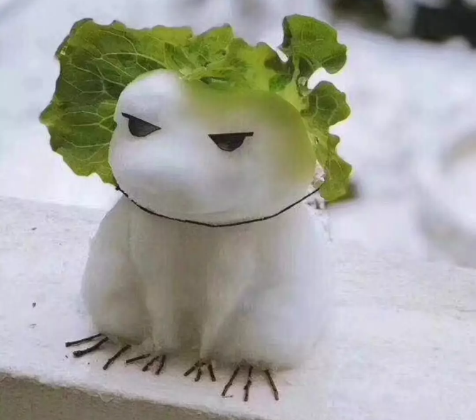 QQ图片20180128131253.png