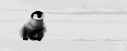 c36b42eac53940d4677a357fe3097bc6.gif