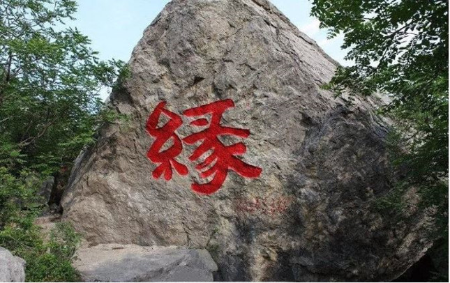 8.JPG