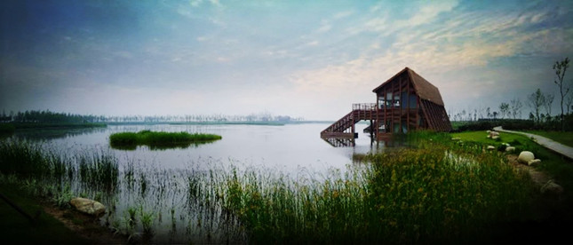 东滩湿地_副本.jpg