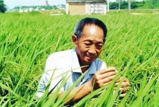 微信图片_20180723154619.jpg