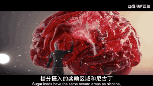微信截图_20181109100311.png