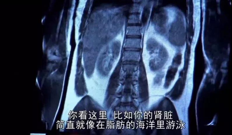 微信图片_20181109100136.jpg