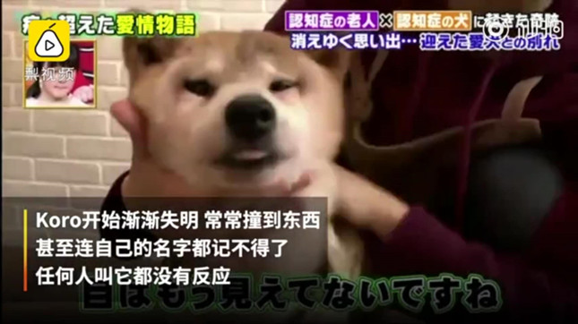 微信图片_20190504131300_副本.jpg