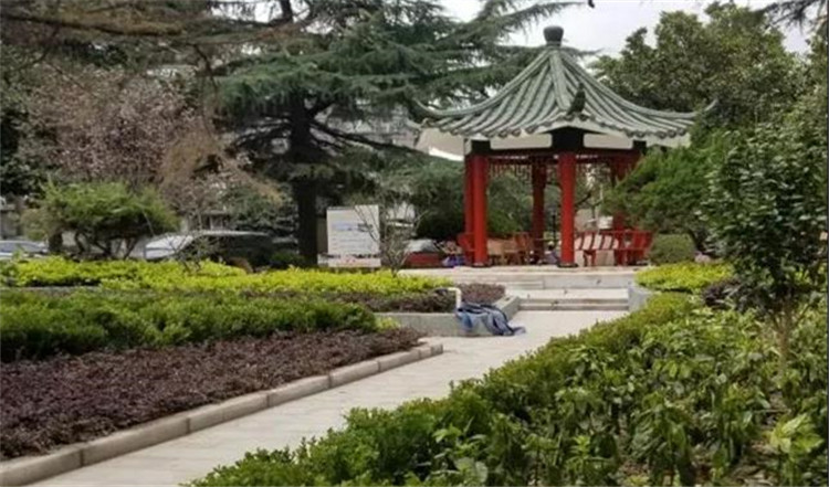 花园改造后.jpg
