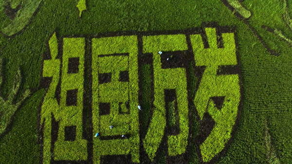 11111.jpeg 11111.jpeg