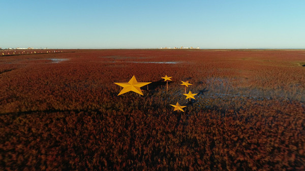 33333.jpeg 33333.jpeg