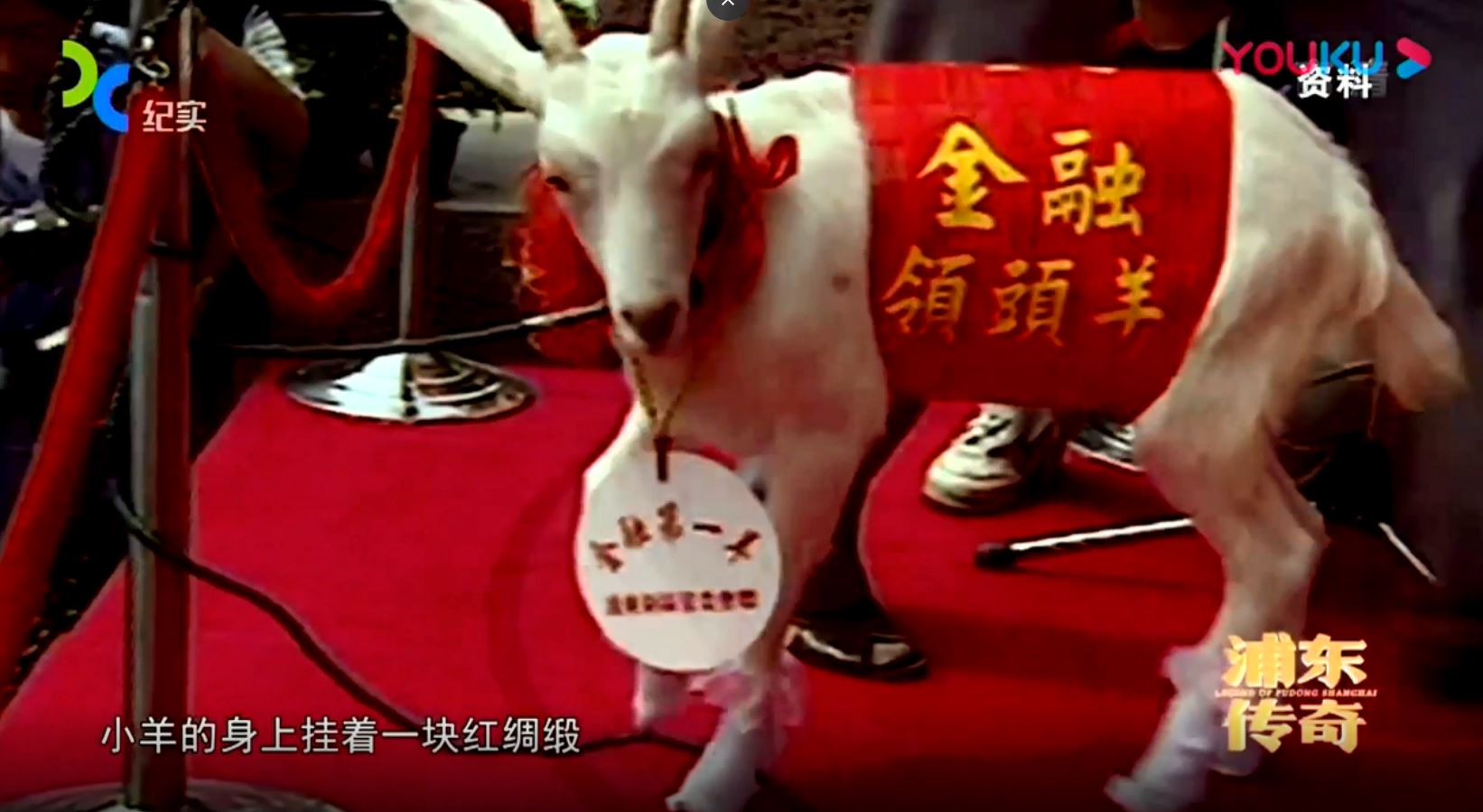 lingtouyang.JPG