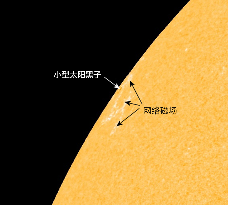 微信图片_20200531154324_副本.jpg