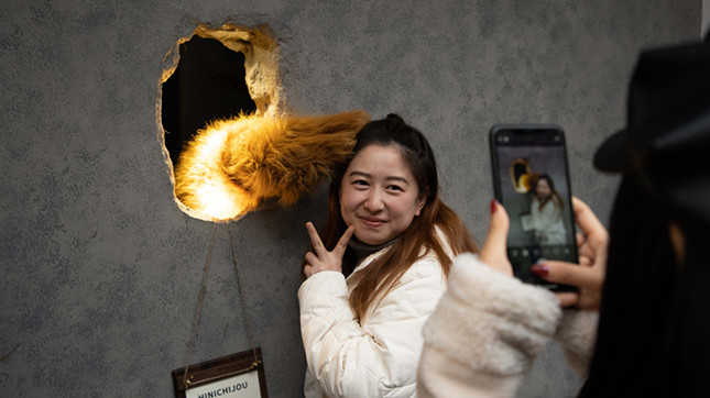 微信图片_20201203185157.jpg 微信图片_20201203185157.jpg