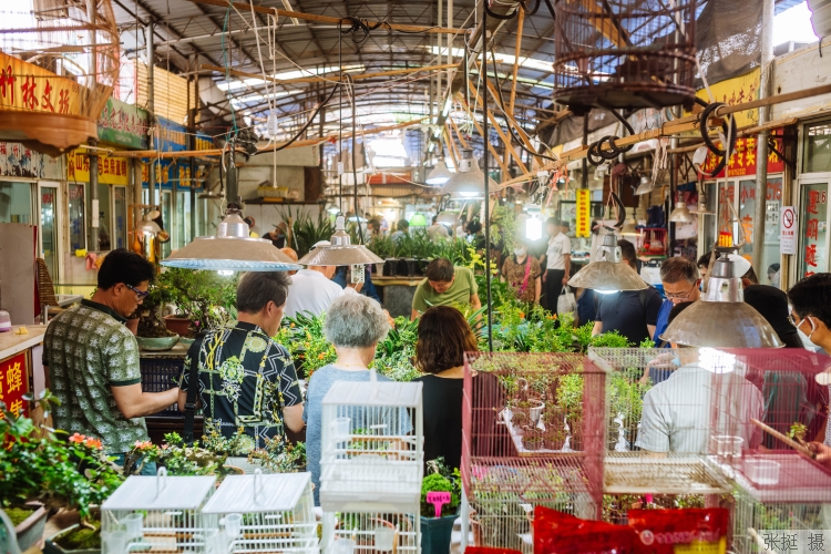 small.jpg?key=beb5080b9wxada5f438b1fe8a6380df2e4a98a7ba6737c8d60