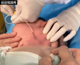 13.gif