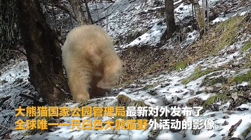 微信图片_20210118073426.png