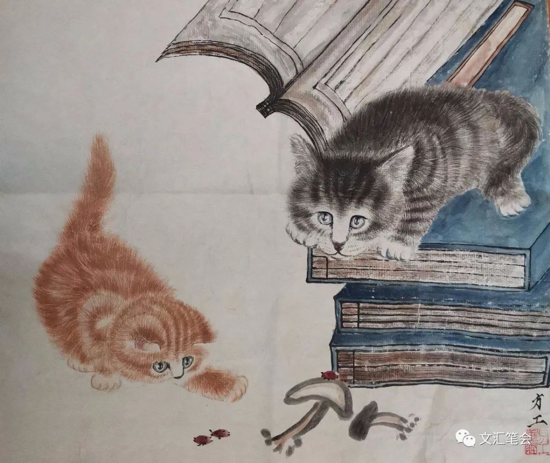 猫1.jpg