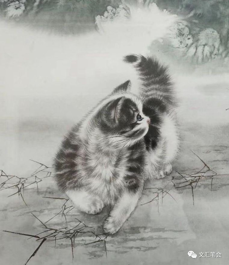 猫2.jpg