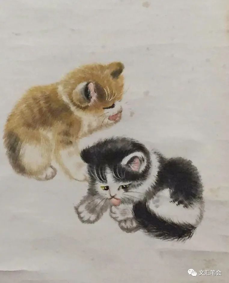 猫3.jpg