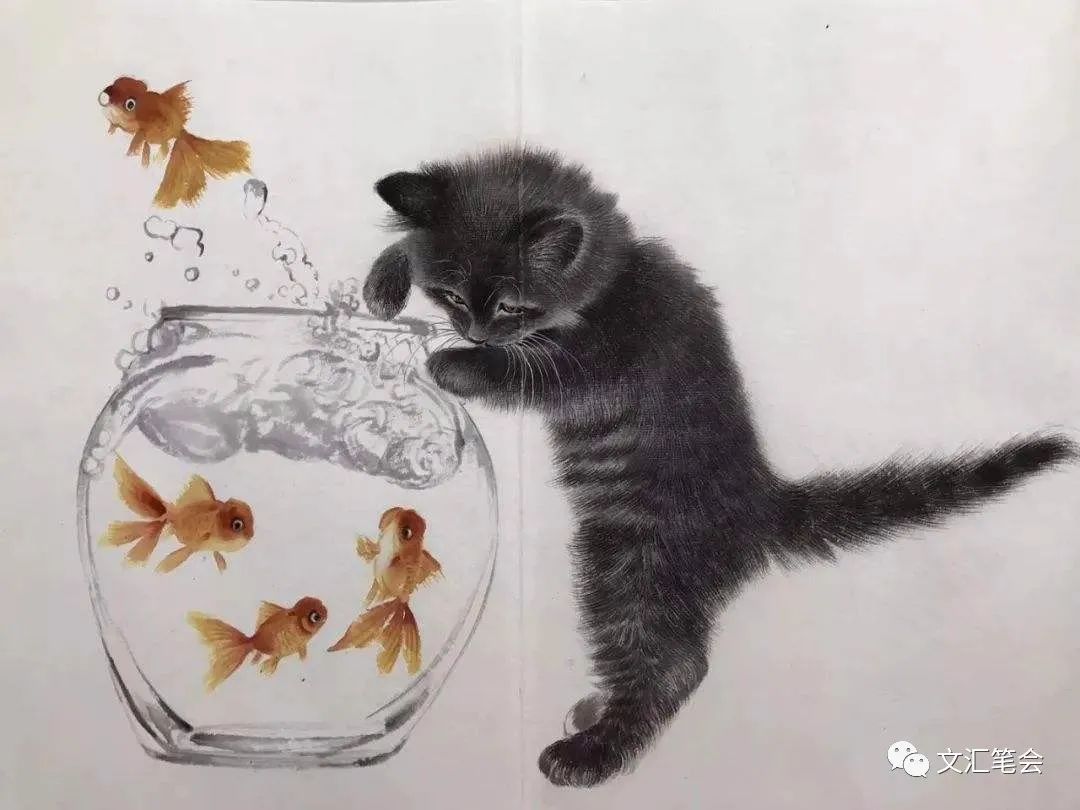 猫5.jpg