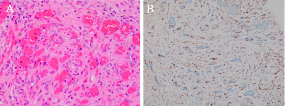 屏幕快照 2021-05-06 上午7.02.41.png