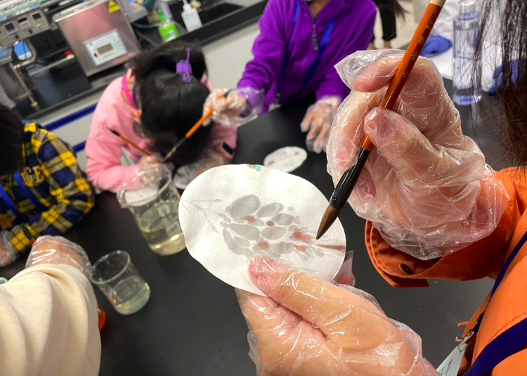 屏幕快照 2021-05-23 下午2.54.55.png