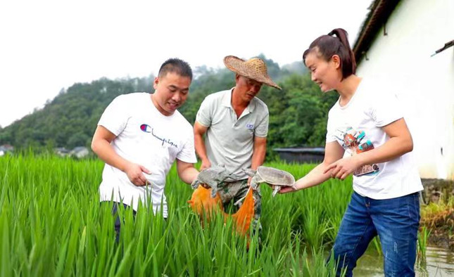 nei 630d2b4c42e207f_副本.jpg nei 630d2b4c42e207f_副本.jpg