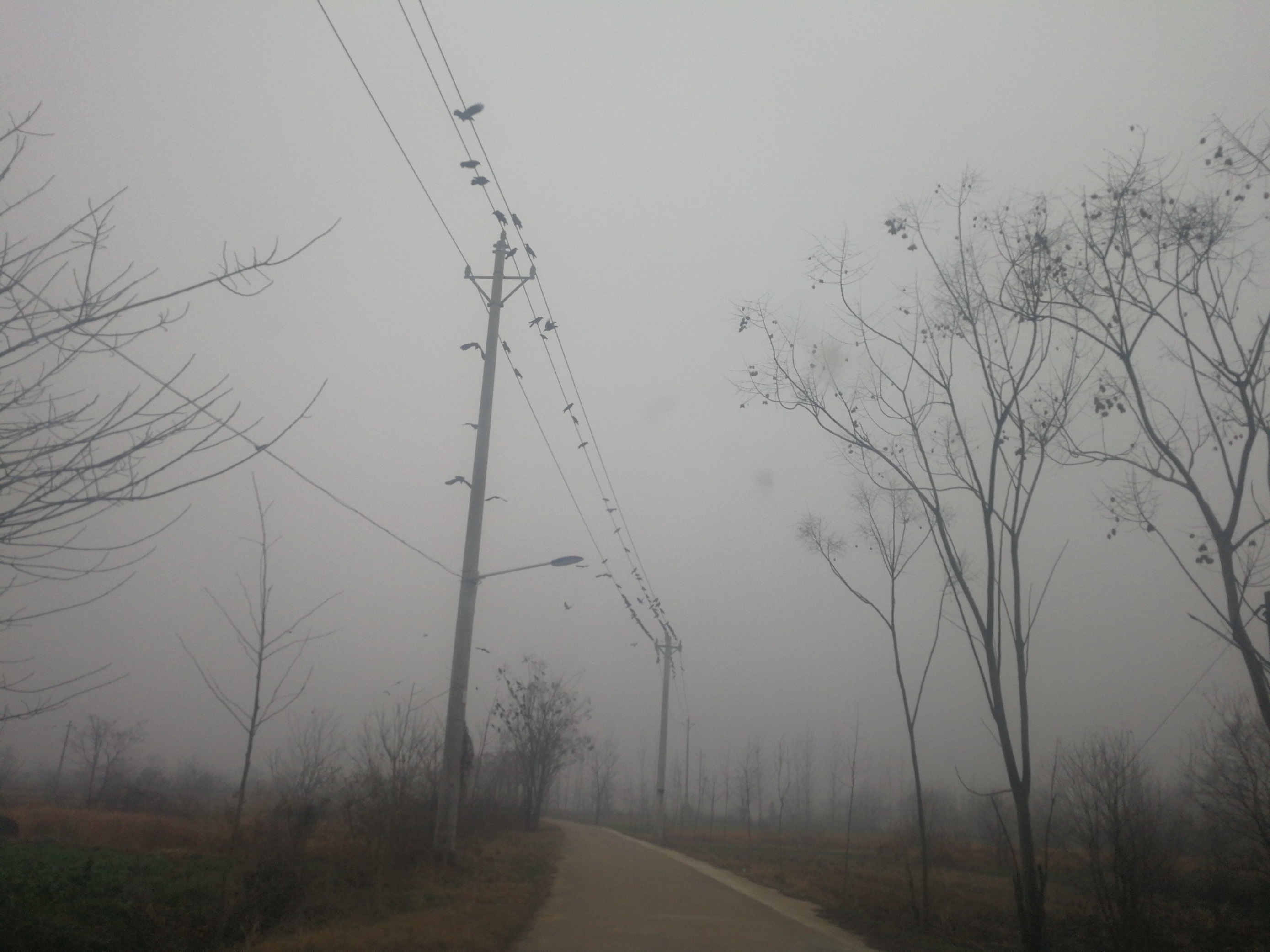 舒飞廉村路.jpg