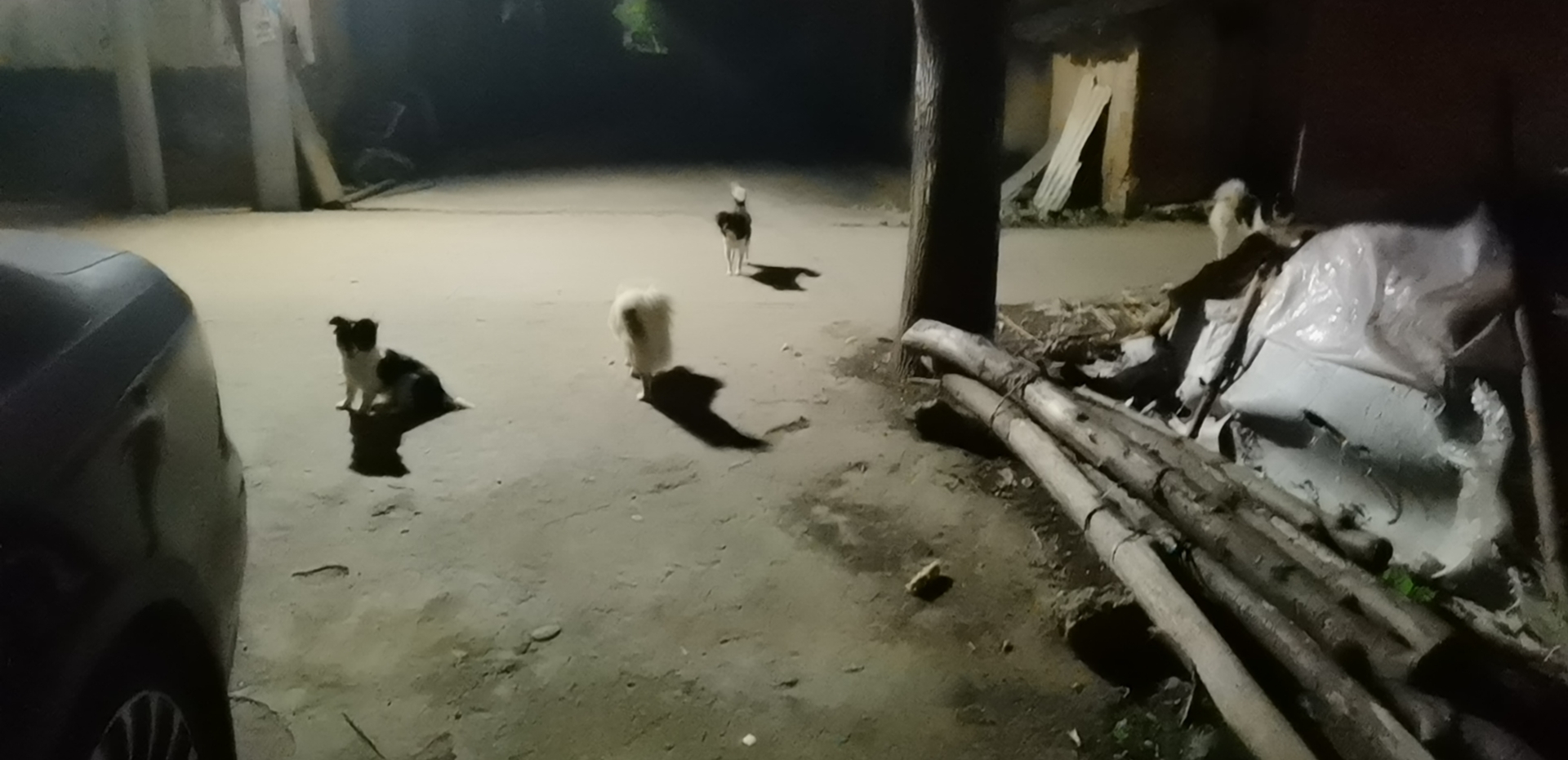 舒飞廉夜间小院.jpg