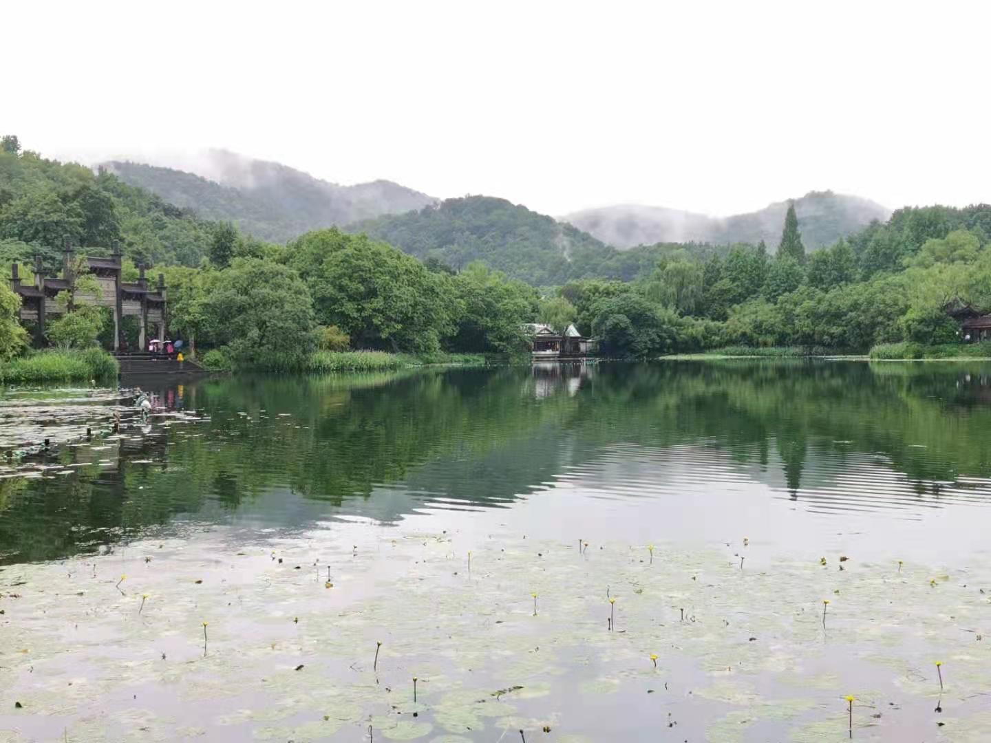 应奇：浴鹄湾.jpg