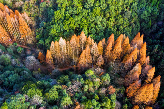 内 内 20210910151642_副本.jpg