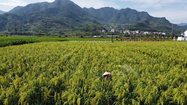 nei 7318adf09b8e_副本.jpg