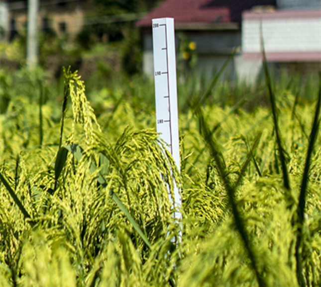 nei  8279963ee71740_副本.jpg