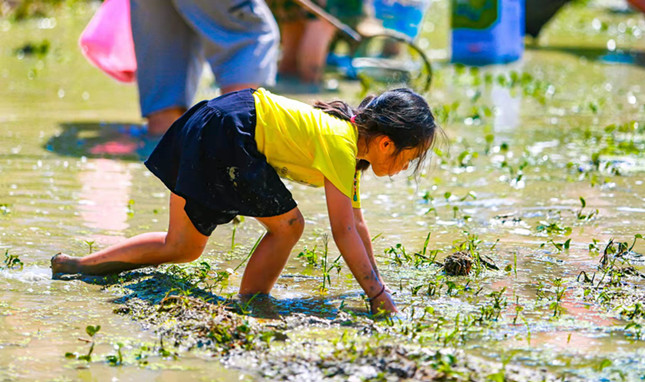 内 f90fd3bdb36b716_副本.jpg