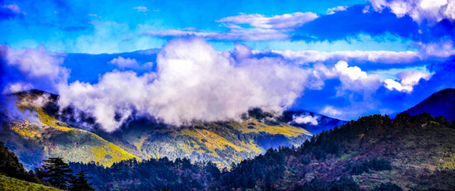 压题 最美神农顶 司志乾_副本.jpg