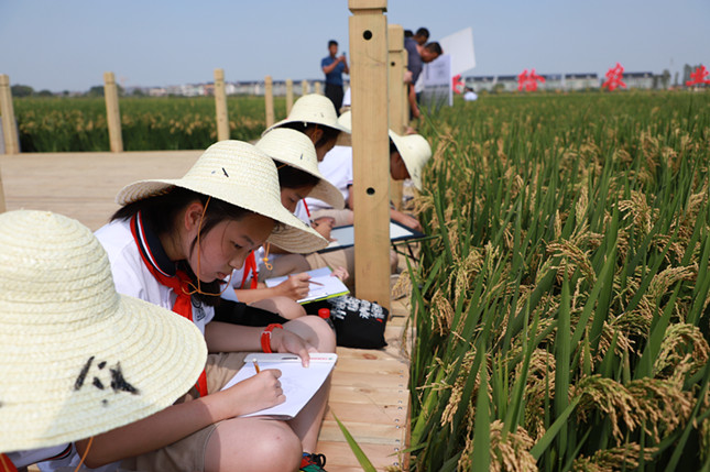 内 a7a2395d90394f3_副本.jpg