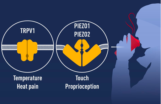 屏幕快照 2021-10-04 下午7.13.44.png 屏幕快照 2021-10-04 下午7.13.44.png