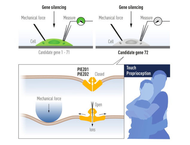 屏幕快照 2021-10-04 下午7.17.39.png 屏幕快照 2021-10-04 下午7.17.39.png