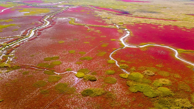 458d29e401c61abb1988a5c07165b19.jpg 458d29e401c61abb1988a5c07165b19.jpg