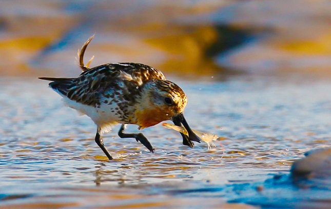 6cdc4b8254e12d4d6646b18479693d9.jpg 6cdc4b8254e12d4d6646b18479693d9.jpg