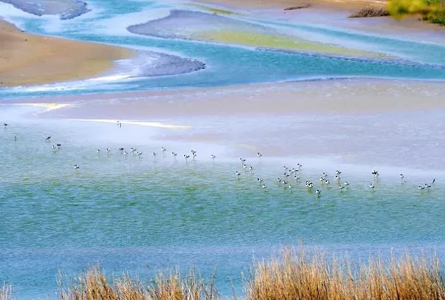 微信图片_20211009124425.jpg 微信图片_20211009124425.jpg