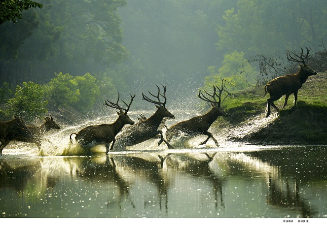 ec3f84477f3aad0ad0f31d434724fbe.jpg ec3f84477f3aad0ad0f31d434724fbe.jpg