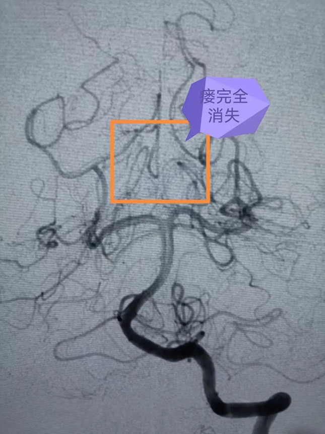内 06135037_副本.jpg