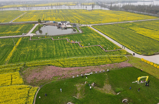 内 1b713531c76_副本.jpg 内 1b713531c76_副本.jpg