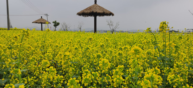 内 b55aa33dd3_副本.jpg 内 b55aa33dd3_副本.jpg