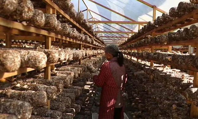 nei 4e561231_副本.jpg nei 4e561231_副本.jpg