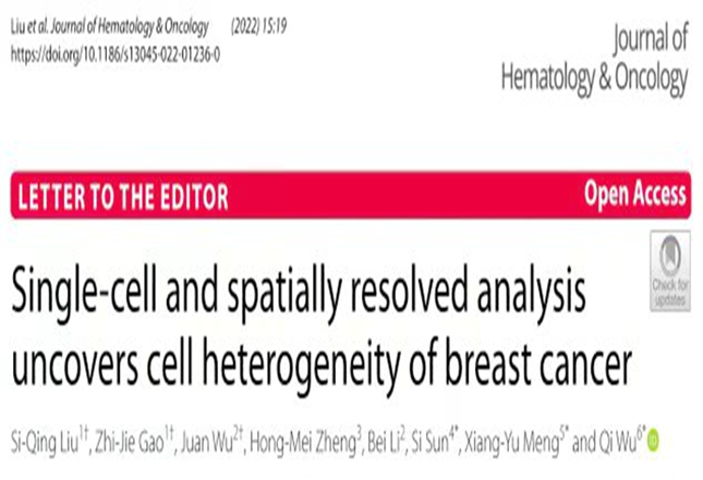 人01_副本.jpg 人01_副本.jpg